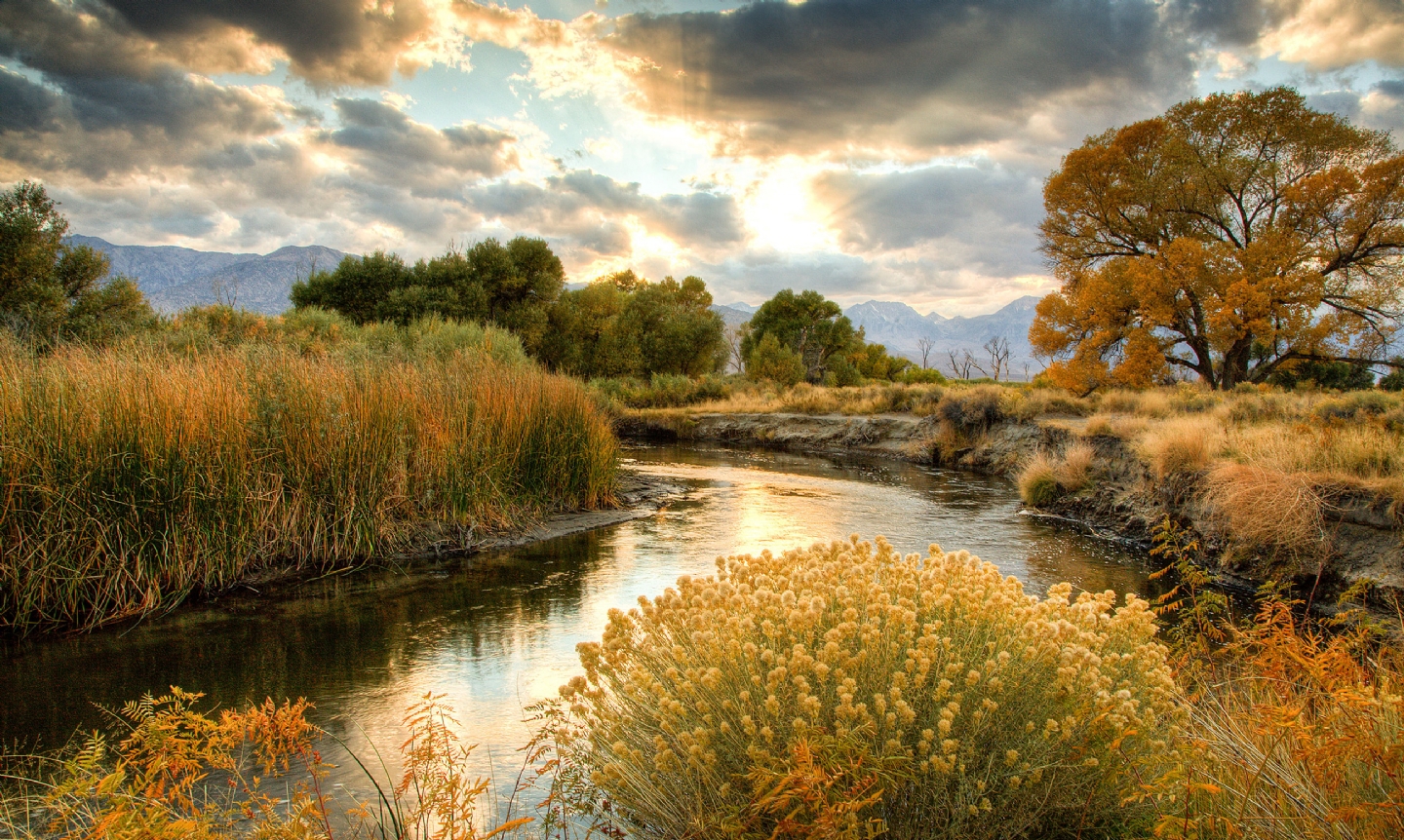 Happy St. Patricks Day